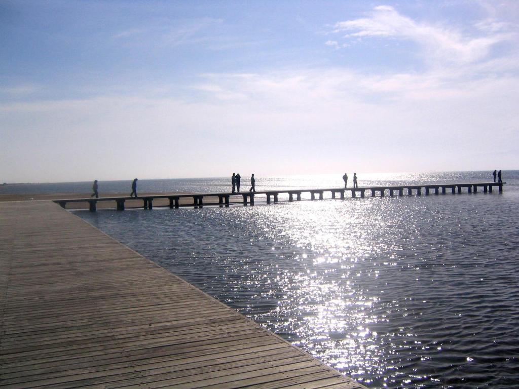 Virginia 2*